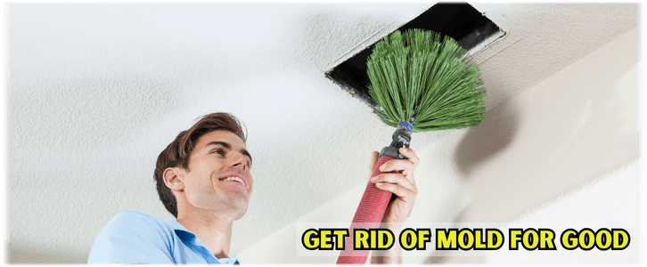 Air Duct Mold Removal in McKinney
