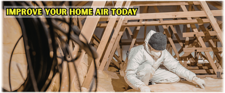Attic Cleaning McKinney
